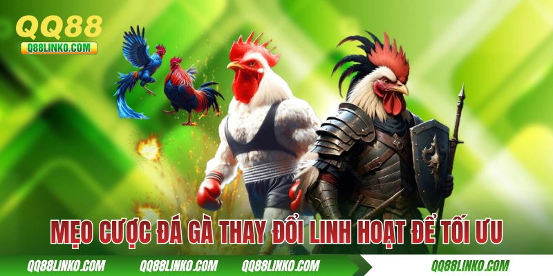 Mẹo Cược Đá Gà Hiệu Quả Đúc Kết Từ Các Cao Thủ QQ88 Lâu Năm 4 Mẹo cược đá gà thay đổi linh hoạt để tối ưu